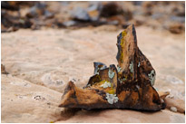 Abstrakte Kunst am Moqui Hill | Utah