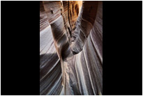 Zebra Slot Canyon | Utah