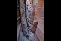 Zebra Slot Canyon | Utah