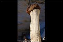 Wahweap Hoodoos | Utah