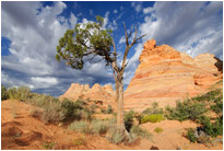 South Coyote Buttes | Utah