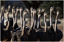 Was willst du? | Namibia