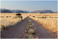 Farmpad auf Koiimasis | Namibia