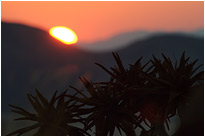 Sonnenuntergang vom Feinsten... | Namibia