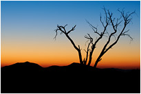 Abendglühen... | Namibia