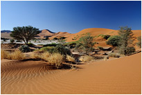 Dünenlandschaft im Sossusvlei | Namibia
