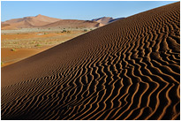 Tiefstehende Sonne formen die Strukturen der Dünen | Namibia