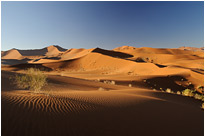 Die Weite des Sossusvleis | Namibia