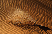 Ohne Wasser geht hier nichts | Namibia