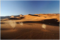 Warten auf den nächsten Regen ;-) | Namibia