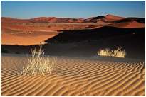 Die Weite der Wüste | Namibia
