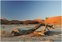 Gleich ist die Sonne Weg | Namibia