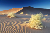 Starker Wind und die ersten Sonnenstrahlen des neuen Tages | Namibia