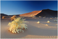 Tiefe Strukturen hat der Wind um weichen Sand hinterlasssen | Namibia