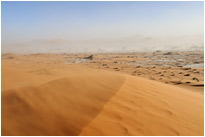 Auf dem Weg ns Dead Vlei | Namibia