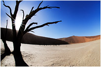 Dead Vlei - auch hier tobte der Sandsturm | Namibia