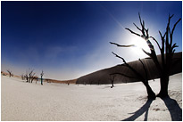 Mühsam kämpft sich die Sonne ihren Weg durch den fliegenden Sand | Namibia