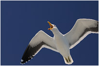 Hey, weg da - jetzt komm ich | Namibia