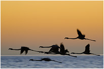 Auf dem Flug ins Nachtquatier | Namibia