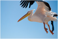 Im Landanflug | Namibia