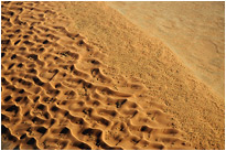 Bizarre Formen im stillen nebeneinander | Namibia