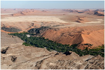 Ein bisschen grün über der Wüste | Namibia