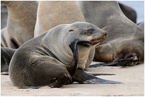 Man ist mir langweilig... | Namibia
