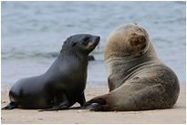 Ich will doch bloß spielen | Namibia