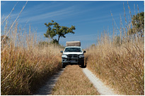 Fahrt im Moremi NP. | Botswana