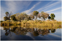 Das Okavango Delta | Moremi NP., Botswana