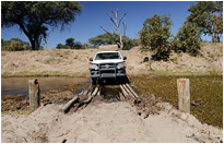 Na, wenn das mal hält.... | Chobe NP., Botswana