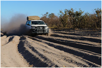 Bloß nicht stecken bleiben... | Chobe NP., Botswana