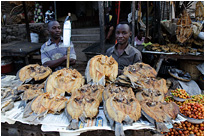 Lecker Fisch, wir waren aber vorsichtig und haben nicht probiert, obwohl er uns angeboten wurde | Sambia