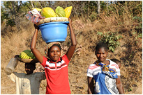Papaya und Banan satt - unglaublich lecker - wir sind mit den Mädels ins Geschäft gekommen | Sambia