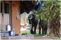 Da passen wir durch - kein Problem | Sambia