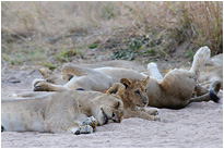 ...dass die blöden Erwachsenen auch nie mit mir spielen wollen | Sambia