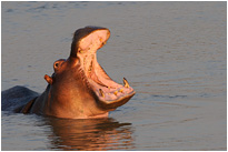 Zahnarzttermin? | Sambia