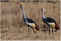 Sehen wir gut aus? | Sambia