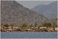 Strand am Cape Maclear | Malawi