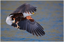 Eine Ehrenrunde nur für uns ;-) | Malawi